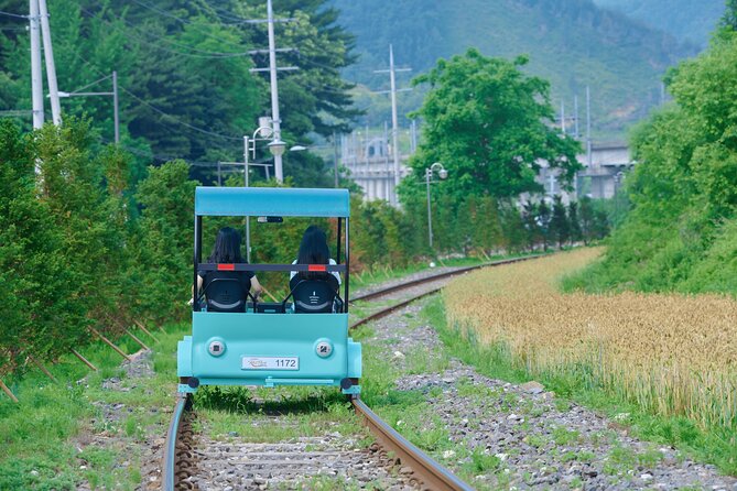 Nami Island Trip with Petite France & Italian Village and Gangchon Rail Bike - Price and Logistics: What You Are Really Paying For