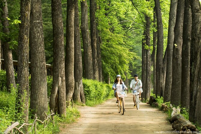 Nami Island Trip with Petite France & Italian Village and Gangchon Rail Bike - Guides and Group Energy: Why It Can Make or Break the Day