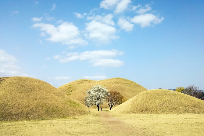 Old Korea Thousand History Tour of Gyeongju from Busan - Hwangridan-gil Hype and Hwanglidangil Street Time