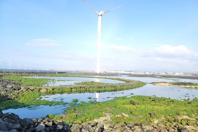 One day private Customized jeju tour - All Area in jeju island - Stop-by-stop: coastal jewels, volcanic icons, and tea time