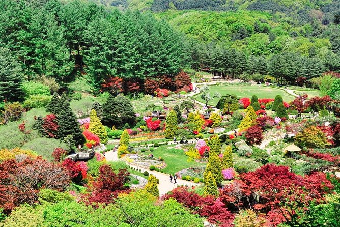 One Day Private Tour-Nami, Petite and Garden of Morning Calm - Nami Island: Winter Sonata memories, redwoods, and a walk you can actually enjoy