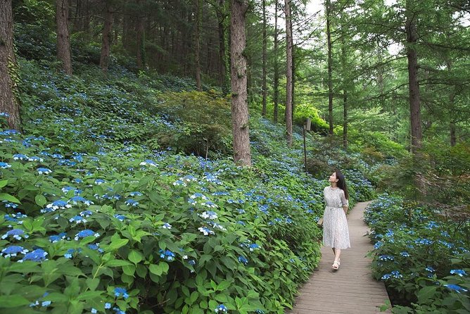 One Day Private Tour-Nami, Petite and Garden of Morning Calm - The Garden of Morning Calm: Korea’s private garden, scaled to 2 million trees