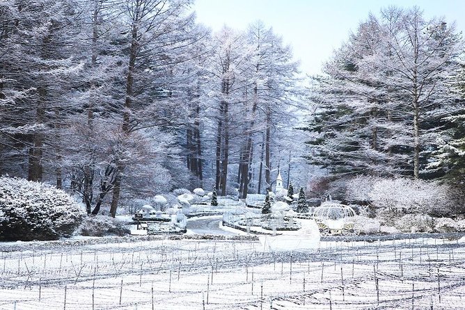 One Day Private Tour-Nami, Petite and Garden of Morning Calm - Price and ticket clarity for three major stops in one 9-hour day