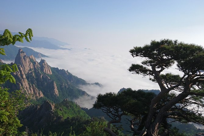 One-Day Tour for stunning Mt.Seoraksan from Seoul - From Seoul to Seoraksan, without the hassle