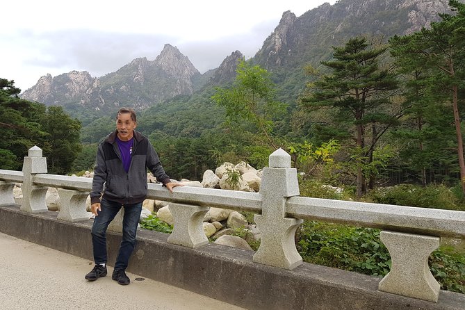 One-Day Tour for stunning Mt.Seoraksan from Seoul - Gwongeumseong Fortress: cable car views plus real-world backup