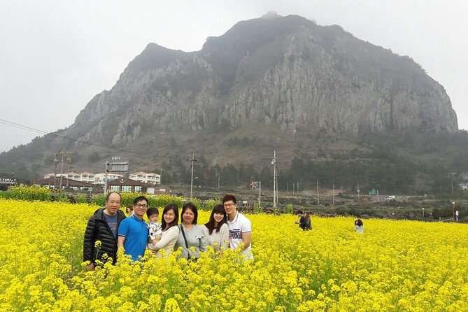 Package tour of All areas of Jeju Island-(East &South &West) - Weather backup that can save your day: Yongmeori to Songaksan