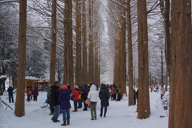 [Perfect Private Tour] Nami island, Petite France and Organic Strawberry Farm - Lunch and the admissions reality check