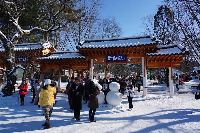 [Perfect Private Tour] Nami island, Petite France and Organic Strawberry Farm - Price and what your $198 actually buys