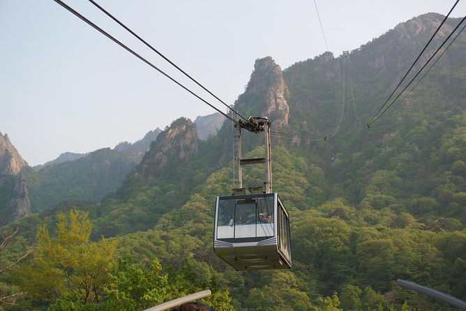 [Premium Private Tour] Mt Seorak & East Sea or Nami island from Seoul - Lunch on the route: included and worth planning around