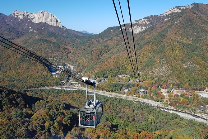 [Premium Private Tour] Mt Seorak & East Sea or Nami island from Seoul - Seoraksan National Park: the cable car vs the easy valley walk