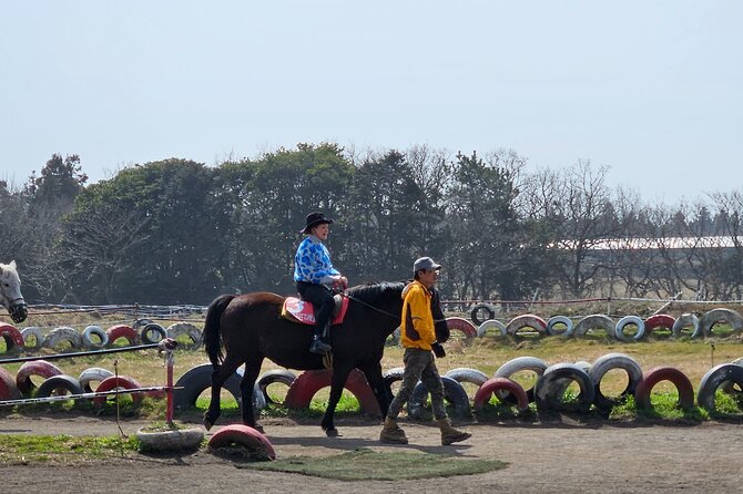 Private 2Days Tour a lot of Experience Driver in jeju island - What the private format changes for your day