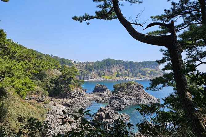 Private 2Days Tour a lot of Experience Driver in jeju island - Price and value: what $450 really buys you