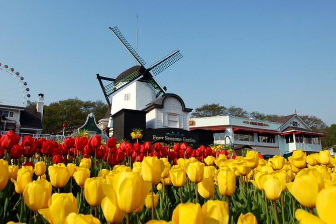 Private 4 days Nami Island&Petite France&Seoul&Everland tour - Day 1: Nami Island tree-lined roads, then Petite France’s Le Petit Prince vibes