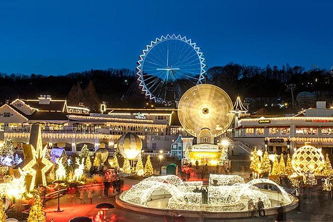 Private 4 days Nami Island&Petite France&Seoul&Everland tour - Hotel, private transport, and photo support: why this format feels easier