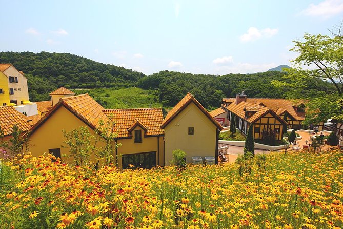 Private 4 days Nami Island&Petite France&Seoul&Everland tour - Who should book this tour, and who might want a different plan