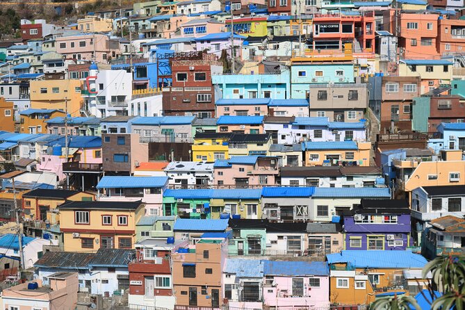 Private Busan tour with gamcheon culture village and the temple (Customizable) - Getting your bearings fast: how the day flows across Busan