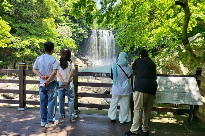 Private Day tour East & south & west of All area in jeju island - Pickup, timing, and the photo-taking driver advantage