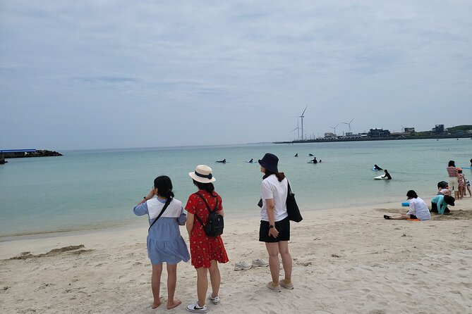 Private Day tour East & south & west of All area in jeju island - Price and value: what $205 per person really buys
