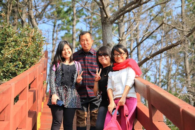 Private Day Tour in South and West in Jeju Island - The day route, stop by stop: what each place gives you