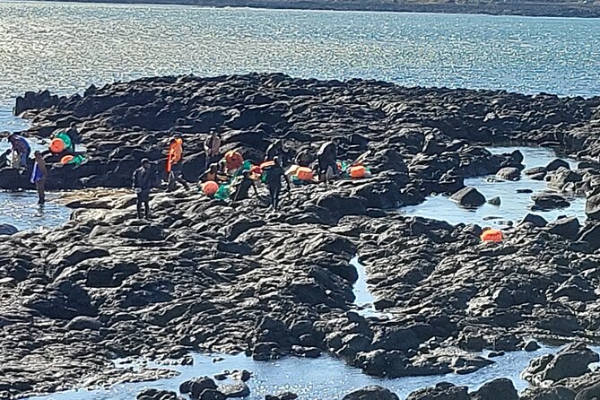 Private Day Tour With Best Jumbo Taxi Driver Tour in jeju island - Seongsan Ilchulbong Peak and the 2 pm haenyeo moment