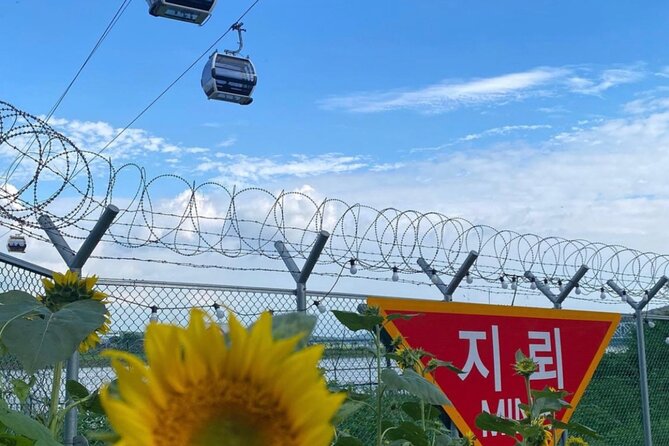 [Private] DMZ & Imjingak Peace Gondola Experience Inter-Korean War - Dora Observatory and Dorasan Station, the view you can’t unsee