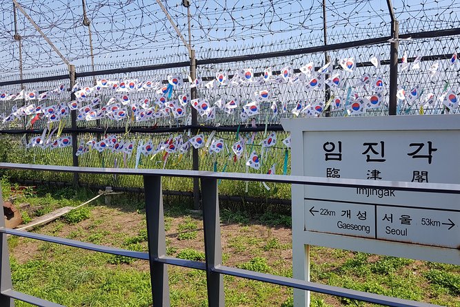 Private DMZ Tour - Why a Private DMZ Day Feels Different From a Standard Tour