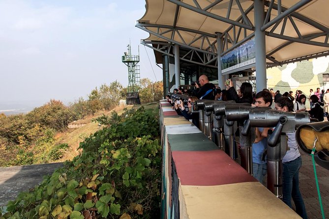 Private DMZ Tour (No Shopping): 3rd Tunnel & Suspension Bridge - Dora Observatory: Clear-Day Views and the Peace-Oriented Framing