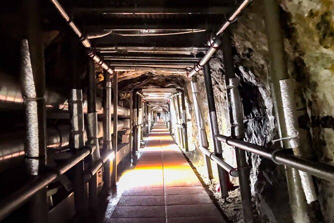 Private DMZ tour(Tunnel / Observation) with hotel pick up - Start time at 8:00 am, then a full day of border context