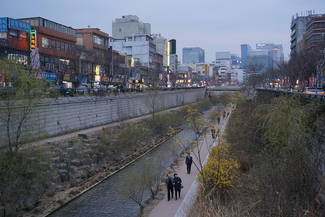 Private English Speaking Driver in Seoul: Airport Service Available - Comfort and communication: the real benefit of an English-speaking driver