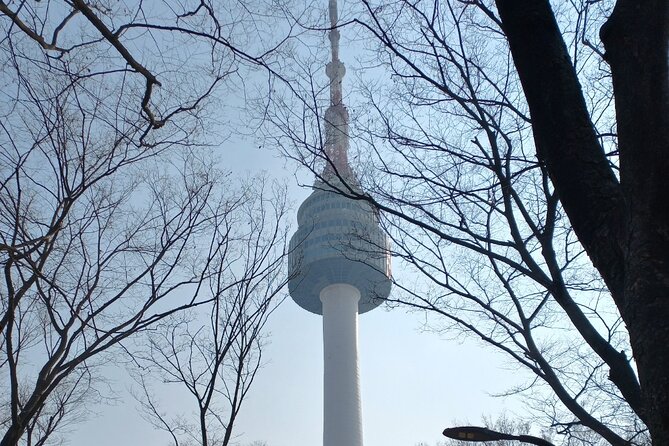 Private Full Day Seoul City Tour and N Tower Cable Car - Namsan cable car: the scenic payoff you can count on
