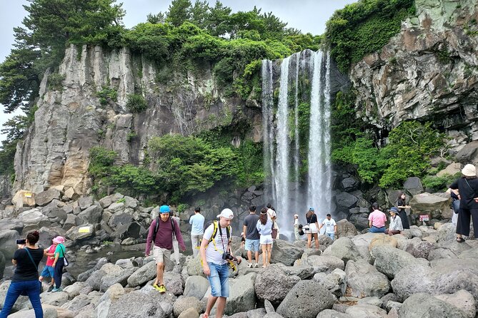 Private Half Day South and West Tour in Jeju Island - O’sulloc Tea Museum: where you slow down