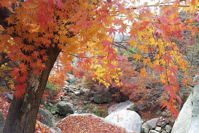 Private Hiking to Bukhansan & Korean Style Spa(Include Lunch) - Best for: solo hikers, families, and first-timers