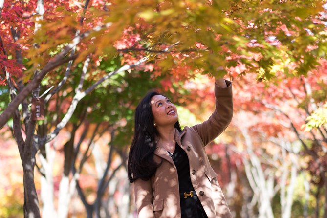 Private Nami Island Photo Shoot and Tour with a Photographer - Private Transport Means Less Waiting and Fewer Small Frustrations