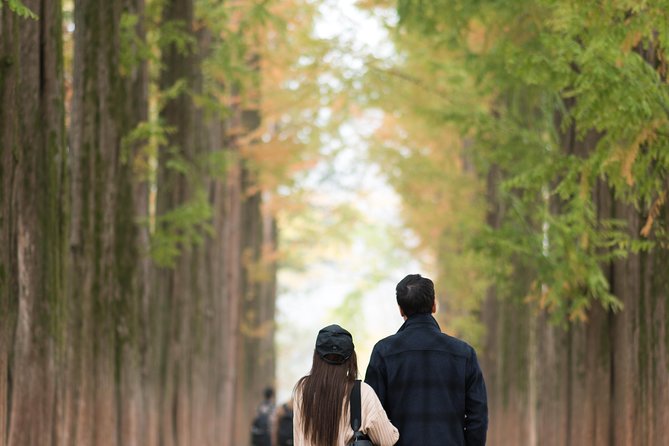 Private Nami Island Photo Shoot and Tour with a Photographer - Your Day on the Clock: Pickup, Nami Island Photos, Then Back to Seoul
