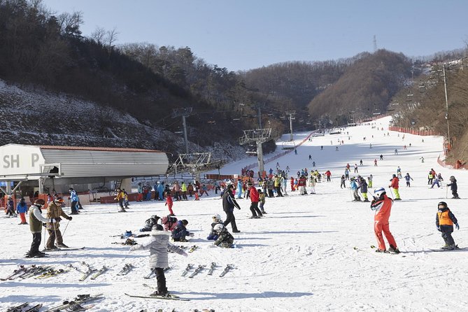 Private Ski Tour(Lesson) near Seoul at Elysian Gangchon Resort - Quick hits before you go
