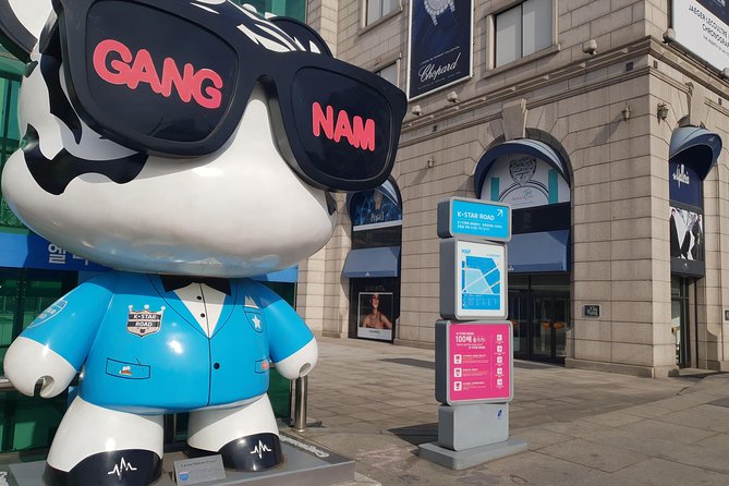 Private Tour: Gangnam Style Tour - Morning start at 10:00, with pickup that keeps you sane