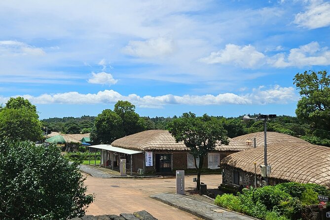 Private Tour in Jeju Island All Inclusive with Lunch - Lunch, vegetarian option, and what all-inclusive actually saves you