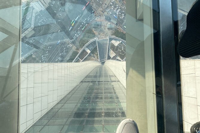 Private tour Lotte World,Tower,Aquarium(All Tickets are included) - How the private guide adds real value (not just “translation”)