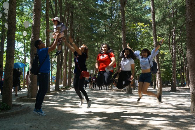 Private Tour: Nami Island& (Alpaca World 'or' Morning Calm)&Lunch - The Seoul to Nami Island drive and what 4 hours buys you