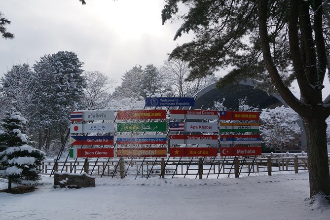 Private Tour: Nami Island& (Alpaca World 'or' Morning Calm)&Lunch - Lunch, timing, and how the private guide changes everything