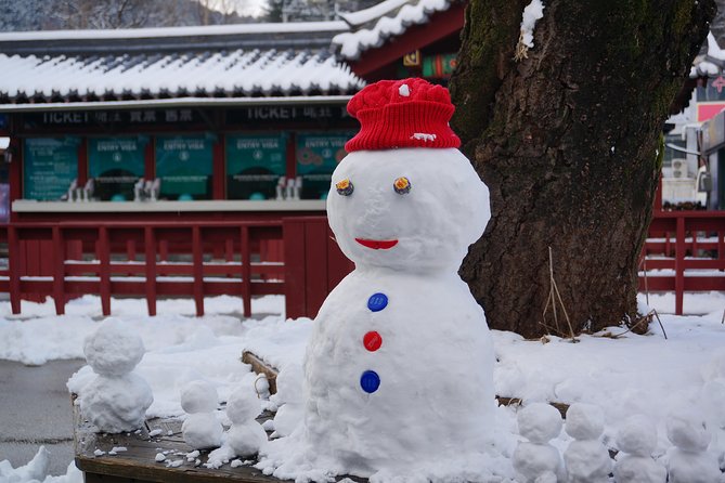 Private Tour: Nami Island& (Alpaca World 'or' Morning Calm)&Lunch - Should you book this private Nami Island and Alpaca or Morning Calm tour?
