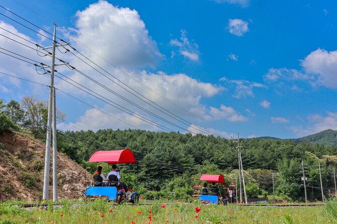 (Private tour) Nami Island + Railbike + Garden of morning calm - Nami Island: forest paths, guided start, free wandering