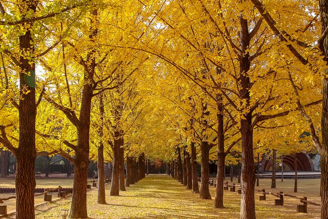 (Private tour) Nami Island + Railbike + Garden of morning calm - Price and value: is $260 per person worth it?