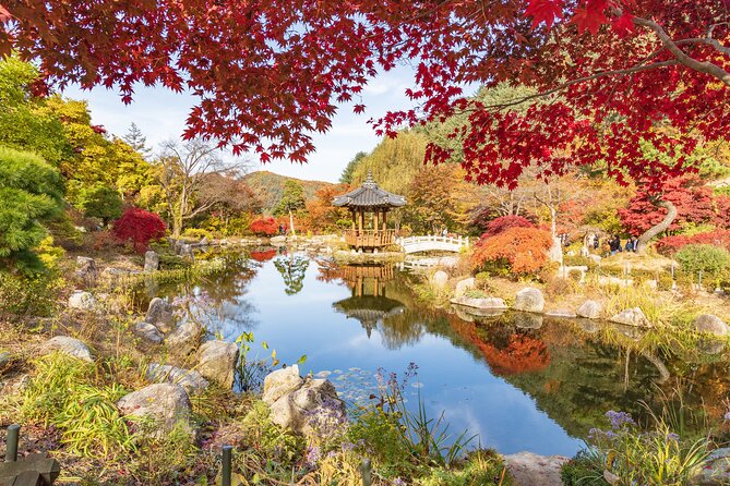 (Private tour) Nami Island + Railbike + Garden of morning calm - Gangchon Rail Park and the Rail Bike: pedal through river views