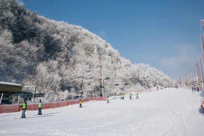 [Private Tour] Nami Island & Snow Viewing and Snow sled (More Members Less Cost) - A Seoul winter day trip built for easy comfort