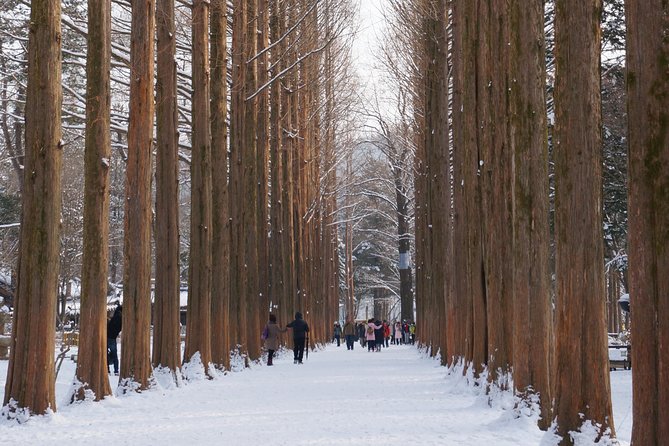 [Private Tour] Nami Island & Snow Viewing and Snow sled (More Members Less Cost) - Nami Island: 4 hours of Winter Sonata scenery and winter calm
