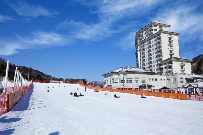 [Private Tour] Nami Island & Snow Viewing and Snow sled (More Members Less Cost) - Elysian Gangchon: snow viewing and snow sled time for about 5 hours