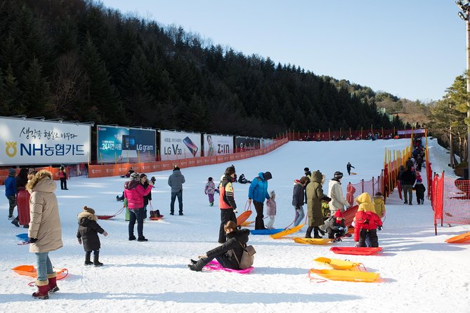 [Private Tour] Nami Island & Snow Viewing and Snow sled (More Members Less Cost) - What to wear for snow, cold wind, and wet surfaces