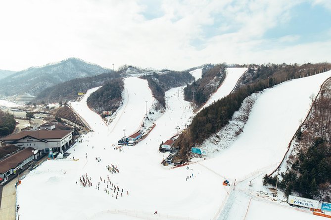 [Private Tour] Nami Island & Snow Viewing and Snow sled (More Members Less Cost) - Is this tour family-friendly and good for first-timers?