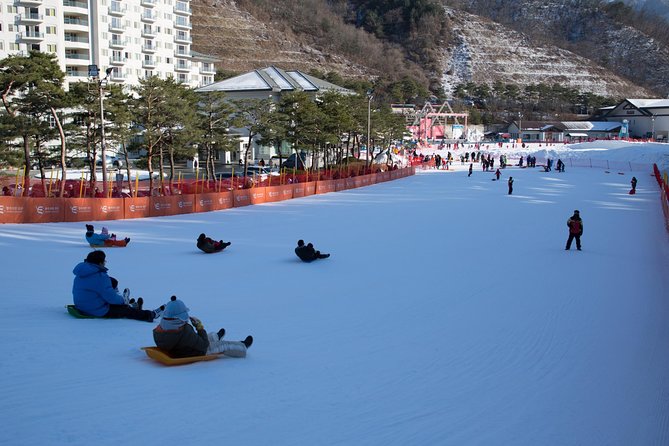 [Private Tour] Nami Island & Snow Viewing and Snow sled (More Members Less Cost) - Price and value: what $224 per person really buys you